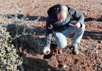 Un joven agricultor conquense gana ‘Generación Agro’ con sus encinas truferas