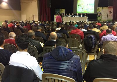 Calidad, clave para futuro de melón y sandía de Castilla-La Mancha