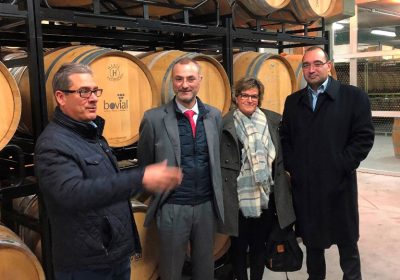 Bodegas y Viñedos Alcarreños mejora instalaciones gracias a Grupo de Acción Local