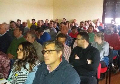 Dcoop apuesta por concentración oferta de producción del pistacho y almendro