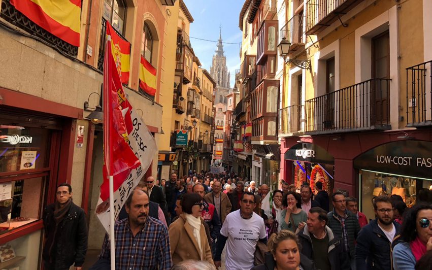 Concentración conejos