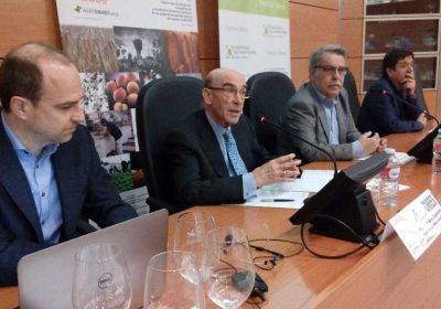 Cooperativas castellano-manchegas, «en el buen camino de la competitividad» gracias a la innovación