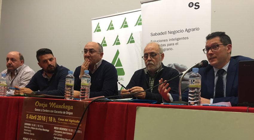 Ven “injustificados” precios de leche de oveja DO ‘Queso Manchego’