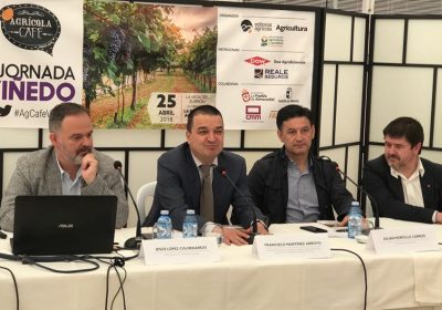 El sector del vino busca incrementar su valor y reconocimiento