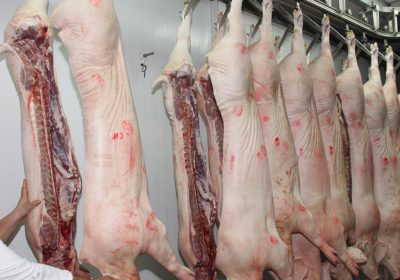 ¿Hay colapso en los mataderos de ganado debido a la sequía? matadero