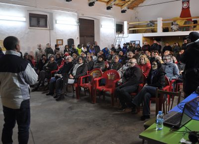 Gran participación en actos contra la instalación de macrogranjas porcinas
