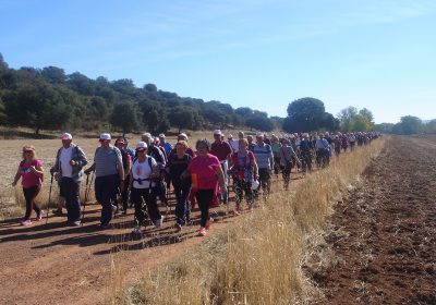900 personas de Ciudad Real participarán en el programa ‘Rutas senderistas’