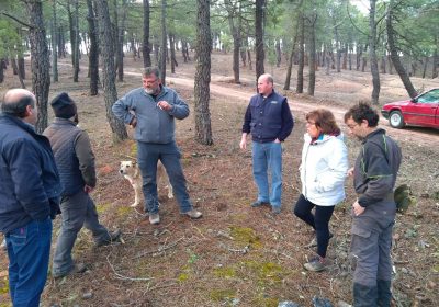 Diputación de Guadalajara prepara una nueva Orden de ayudas para resineros