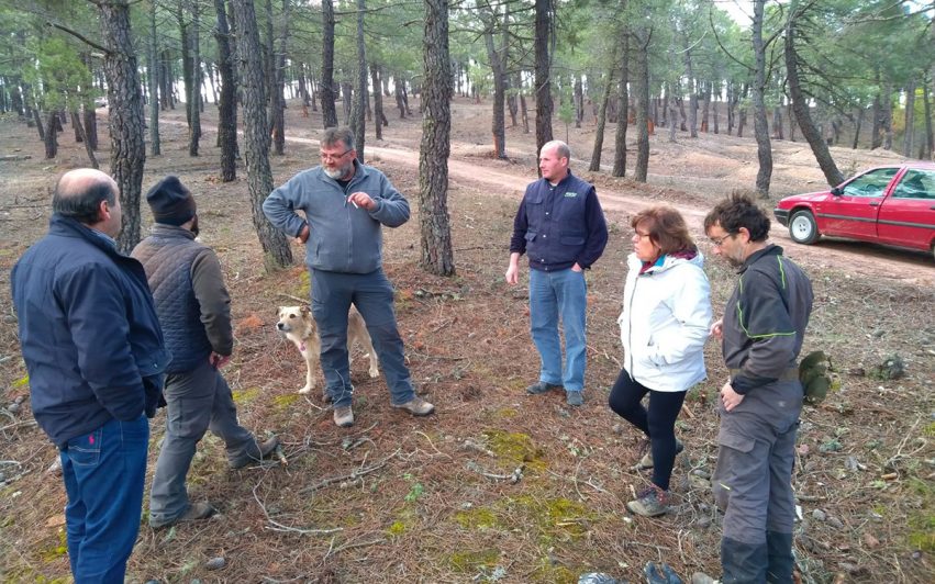 Visita resineros Cobeta