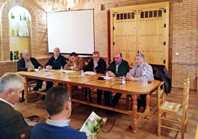 Jesús Julián Casanova, nuevo presidente del grupo VIDASOL