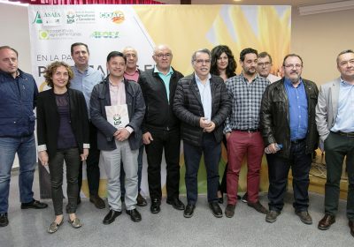 Cierran filas para conseguir una ayuda asociada al girasol, que evite pérdidas millonarias