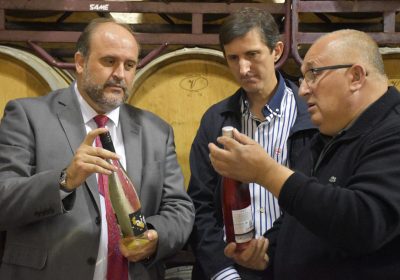 Martínez Guijarro visita la bodegas Pedroheras, de Las Pedroñeras (Cuenca)