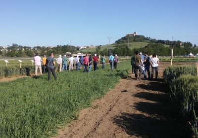 El viernes se cierra plazo de inscripción para VI Jornadas GENVCE