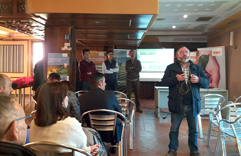 jornadamolinawebtorres