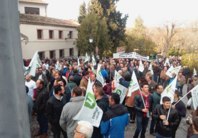 Merino (PP) lamenta que Page no recibiera a agricultores afectados por conejos