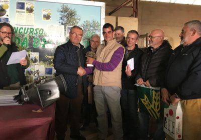 El ‘Concurso de Poda del Olivo’ de Madridejos ya tiene ganador