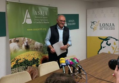 ASAJA CLM critica a las Administraciones «por permitir la expansión de la plaga de conejos durante casi una década»