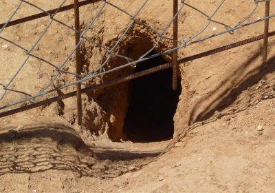 ASAJA Cuenca: «Dar ayudas para instalar mallas conejeras es una medida muy insuficiente»