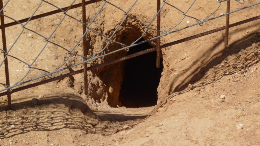 1b7a300c-c070-42db-aacc-fb460c084aea