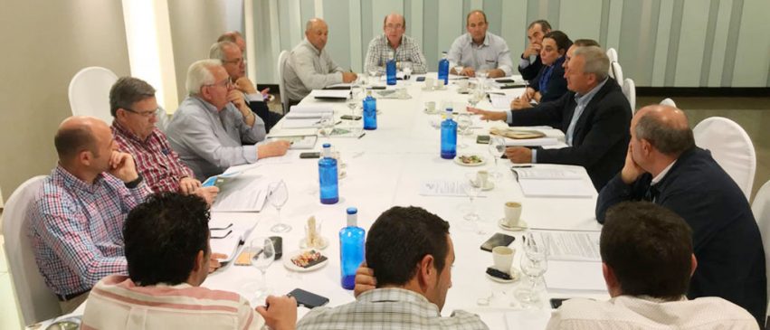 Consejo_Rector-tratada