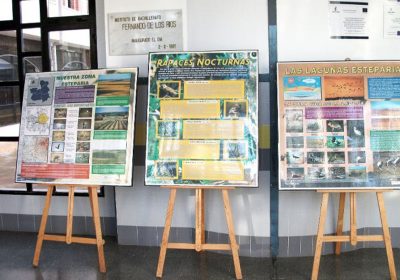 Apuesta por educación medioambiental con nueva convocatoria de exposiciones itinerantes