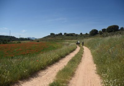 Diputación Guadalajara, elegida para explicar ‘Viaje a la Alcarria’ en Castellón