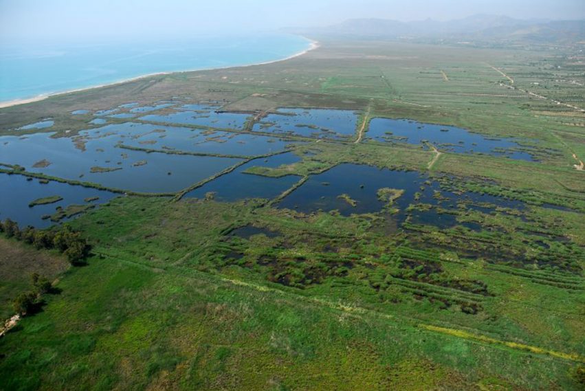 Img1_Prat-Cabanes-Torreblanca (1)