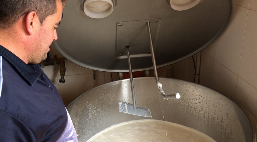 Servicios de Control de las Comunidades Autónomas efectuarán este año controles en quesos de mezcla