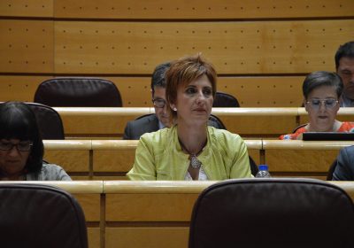 El PSOE exige al Ministerio de Fomento “un verdadero plan estratégico” para frenar la sobrepoblación de conejos