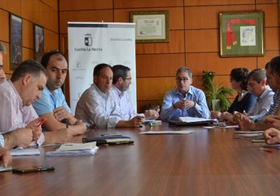 Óptima calidad del espárrago de Guadalajara, aval para creación marca calidad