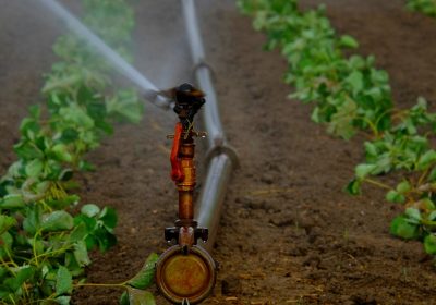 Pide a la Confederación Hidrográfica del Guadiana (CHG) que dé marcha atrás a los recortes del regadío riego