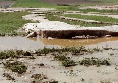 Sector agroalimentario muestra su solidaridad con víctimas de la DANA mientras aguarda para cuantificar daños DANA