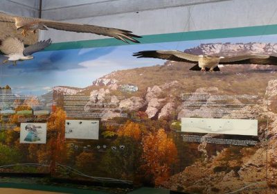 Rutas interpretadas y talleres en torno a parques naturales de Guadalajara