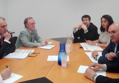 Diseñan plan de actuación conjunto para combatir la superpoblación de conejos