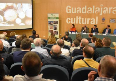 Apuestan por “devolver rentabilidad a los montes” a través de la biomasa