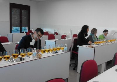 409 muestras de vino, en los XXIX Premios Gran Selección 2018