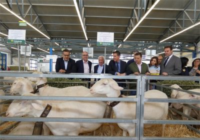 Inaugurada la Feria Agrícola y Ganadera de Castilla-La Mancha (EXPOVICAMAN)