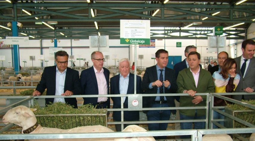 AGRAMA adjudica el 100% de sementales ovinos subastados en EXPOVICAMAN