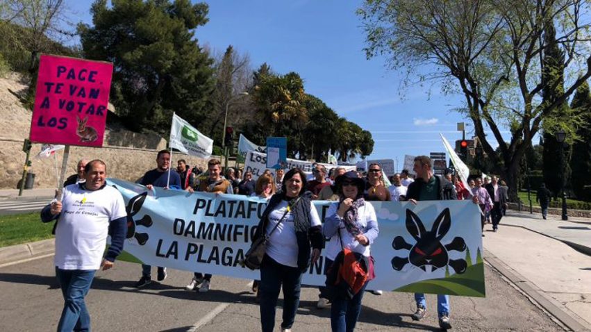imagen de la concentración del 5 de abril en Toledo