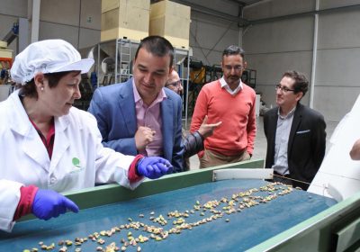 El Gobierno regional impulsa la creación de una asociación para la promoción del pistacho de Castilla-La Mancha