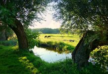 El Gobierno de Castilla-La Mancha avanza en la futura Ley regional de Cambio Climático paisaje