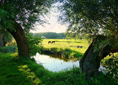 El Gobierno de Castilla-La Mancha avanza en la futura Ley regional de Cambio Climático paisaje