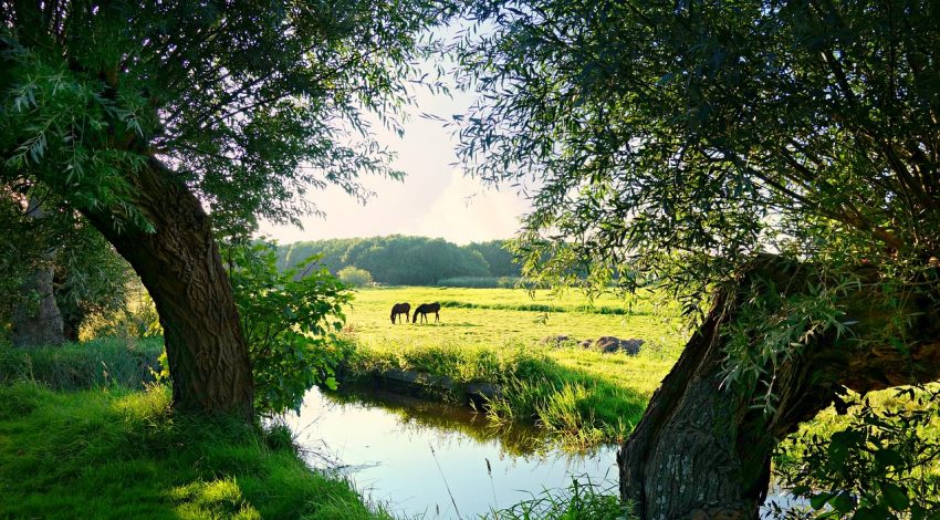 El Gobierno de Castilla-La Mancha avanza en la futura Ley regional de Cambio Climático paisaje
