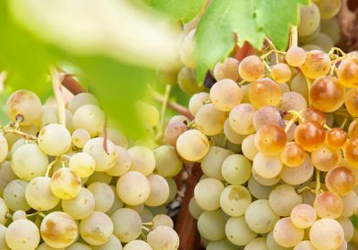 Hasta 4 de junio. Inscripción VI Premios Airén por el Mundo