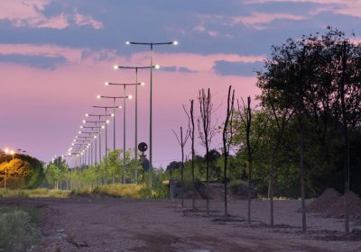 Mas de doscientos árboles plantados esta primavera en Argamasilla de Alba