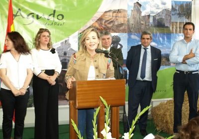Merino (AMFAR) lamenta la escasez de ganaderas en Castilla-La Mancha