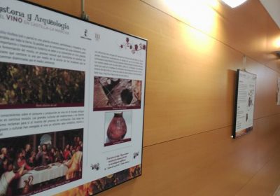 Exposición ‘Historia y Arqueología del Vino en Castilla-La Mancha’, en Valdepeñas