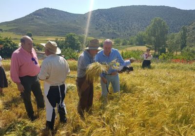 Riba de Saelices celebra la III Jornada de la Indumentaria Tradicional