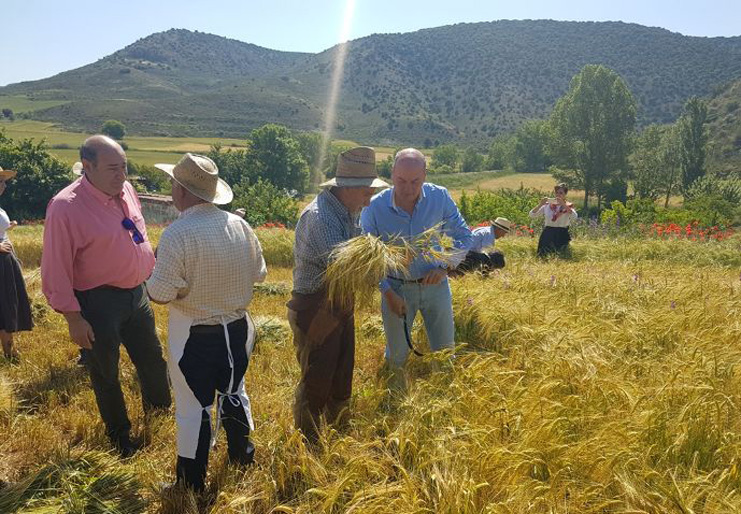Foto Diputacion 1 - Jornada Riba de Saelices