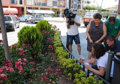 Valdepeñas recurre a método biológico de insectos para atacar plaga pulgón
